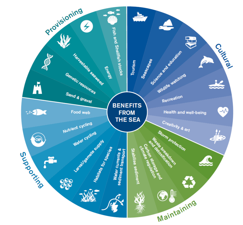 Ecosystem Services Explained: How Nature Sustains Our Lives